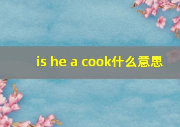 is he a cook什么意思